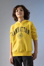 DEFACTO Boys Regular Fit Hoodie Sweatshirt