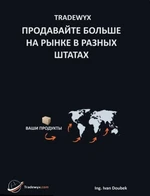 TRADEWYX, ПРОДАВАЙТЕ БОЛЬШЕ НА РЫНКЕ В РАЗНЫХ ШТАТАХ - Doubek Ivan - e-kniha