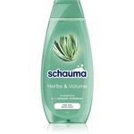 Schwarzkopf Schauma Herbs & Volume šampón pre jemné vlasy bez objemu 400 ml