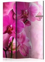 Murando DeLuxe Paraván růžové orchideje 3 dílný