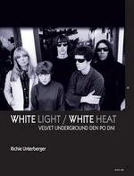 Velvet Underground den po dni - Richie Unterberger