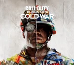 Call of Duty: Black Ops Cold War EU v2 Steam Altergift