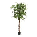 Sztuczny fikus (wysokość 180 cm) Ficus – Kave Home