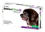 DEHINEL plus XL 12 tbl. 12 ks