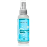 Saloos Osvěžovač Vzduchu Eukalyptus bytový sprej 50 ml