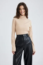 DEFACTO Regular Fit Long Sleeve T-Shirt