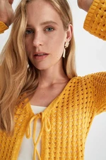 DEFACTO Regular Fit V-Neck Cardigan