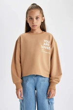 DEFACTO Regular Fit Crew Neck Sweatshirt