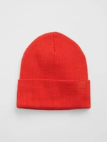 GAP Kids hat with logo - Boys