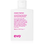 EVO Smooth Smoothing Shampoo uhlazující šampon pro nepoddajné a krepatějící se vlasy 300 ml