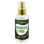 PURITY VISION Bio Borovicová voda 100 ml