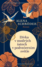 Dívka v modrých šatech v podvečerním světle (Defekt) - Alena Schröder