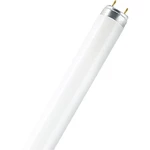 OSRAM žiarivková trubica En.trieda 2021: G (A - G) G13 15 W teplá biela  žiarivkový tvar (Ø x d) 26 mm x 451.6 mm  1 ks
