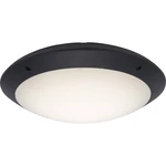 Brilliant Medway G96053/63 vonkajšie stropné LED osvetlenie  12 W N/A antracitová