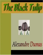 The Black Tulip