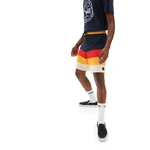 Mn era boardshort 19