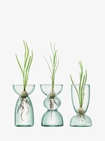Set de vaze, Canopy, înălţime 13 cm, transparente - LSA International