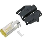 Konektor RJ45 Hirose Electronic RJ45C6A-RT, zástrčka rovná, AWG 24/7, červená