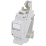 Síťová zásuvka montáž na lištu CAT 6A Telegärtner J00023A0205 světle šedá