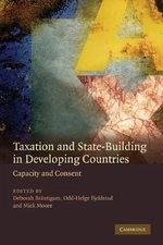 Taxation and State-Building in Developing Countries