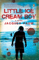 Little Ice Cream Boy