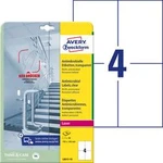 Avery-Zweckform L8013-10 etikety 105 x 148 mm poylesterová fólie transparentní 40 ks permanentní antimikrobiální štítky 10 Blatt