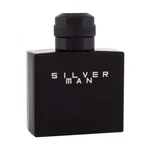 Jeanne Arthes Silver Man 100 ml toaletná voda pre mužov