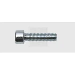 SWG  2231018010 skrutky s vnútorným šesťhranom 8 mm 30 mm vnútorný šesťhran    ocel pozinkované 100 ks