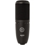 Akg Perception 120