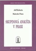 Skupinová analýza v praxi - Malcolm Pines, Jeff Roberts