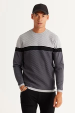 ALTINYILDIZ CLASSICS Men's Anthracite-Grey Standard Fit Regular Fit Bicycle Neck Knitwear Sweater