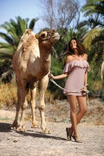 Tunic Juliet Taupe M-461 (4) Mocha