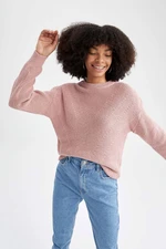 DEFACTO Regular Fit Crew Neck Pullover