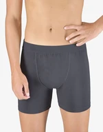 Men's boxers Gino gray