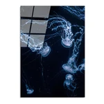 Szklany obraz 70x100 cm Jelly Fish – Wallity