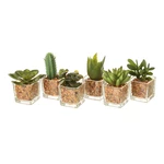 Sztuczne rośliny zestaw 6 szt. (wysokość 8 cm) Cactus – Casa Selección