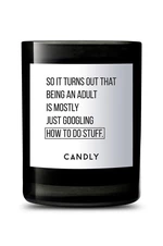 Candly - Vonná sójová svíčka So it turns out that being an adult is mostly just googling hot to do stuff 250 g