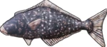 Gaby plyšová ryba halibut 72 cm