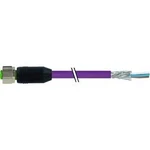 Neupravený zástrčkový konektor pro senzory - aktory Murr Elektronik 7000-13225-8030500 5.00 m, 1 ks