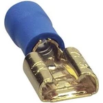 Plochý konektor (faston) Sinus Live, 6,3-2,5 mm, 10 ks