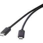 USB 3.2 (Gen 2x2) kabel Renkforce RF-4381068, 50.00 cm, černá