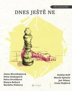 Dnes ještě ne - Jan Němec, Petra Soukupová, Bianca Bellová, Markéta Pilátová, Ondřej Neff, Petra Dvořáková, Marek Epstein, Alena Mornštajnová, Irena H