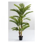 KARE DESIGN Dekorativní rostlina Palm Tree 190 cm