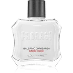 Proraso Red Aftershave balzam po holení s vyživujúcim účinkom 100 ml Proraso Red Aftershave balzam po holení s vyživujúcim účinkom 100 ml