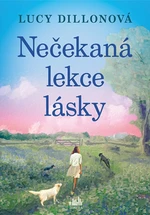 Nečekaná lekce lásky - Lucy Dillonová