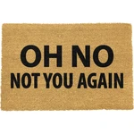 Rohožka z prírodného kokosového vlákna Artsy Doormats Not You Again, 40 x 60 cm