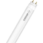 LEDVANCE LED  En.trieda 2021: F (A - G) G13 žiarivkový tvar T8 EVG 8 W chladná biela (Ø x d) 25.5 mm x 603 mm  1 ks