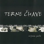 Terne Čhave – Avjam Pale CD