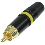 Rean AV NYS373-4 cinch konektor zástrčka, rovná Pólov: 2  čierna, žltá 1 ks