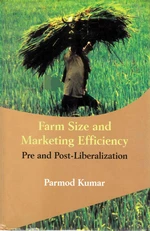 Farm Size and Marketing Efficiency Pre and Post-Liberalization